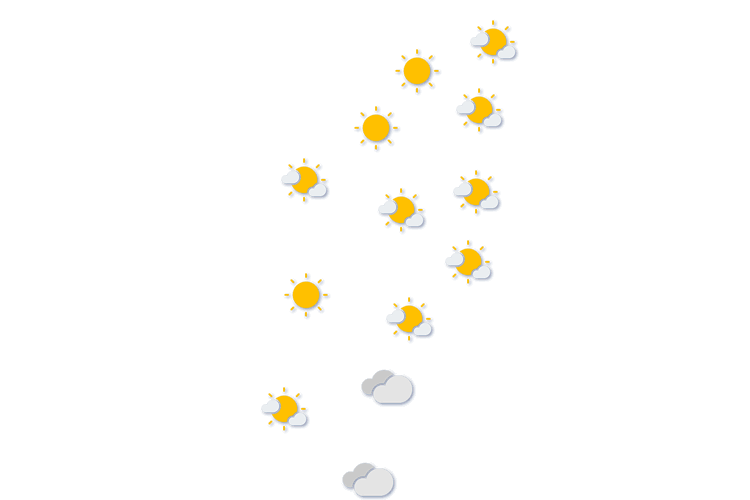 Forecast