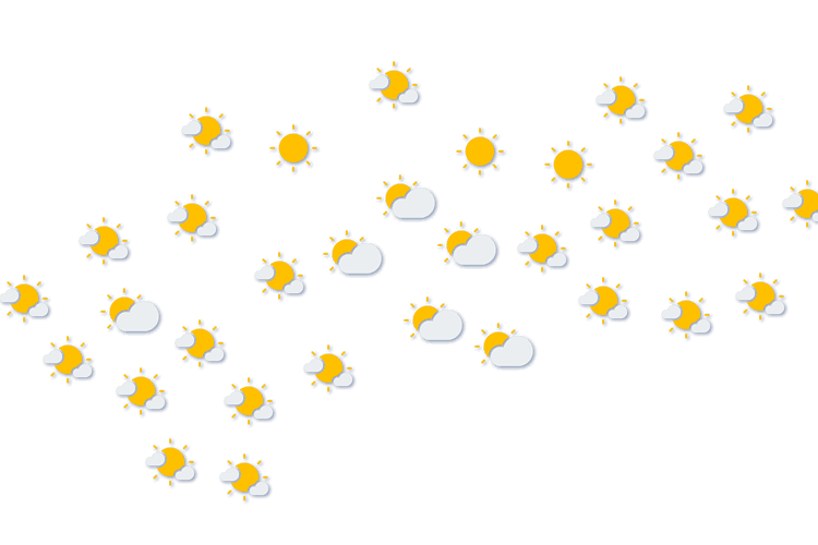 Forecast