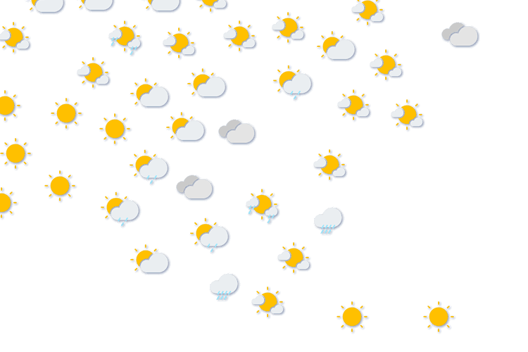 Forecast