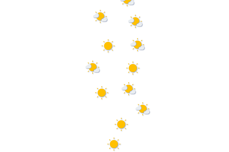 Forecast