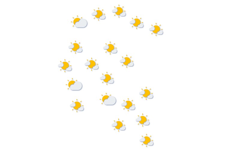 Forecast