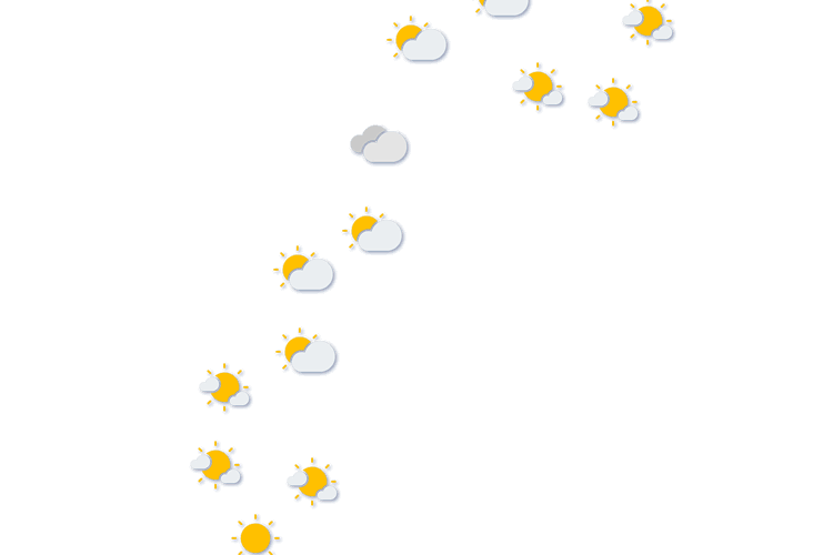Forecast