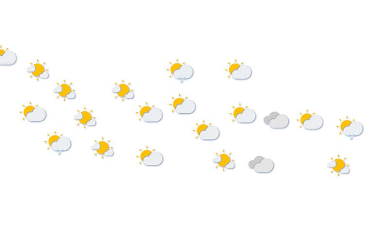 Forecast