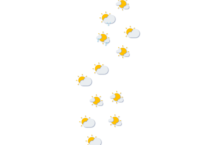 Forecast