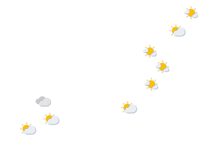 Forecast