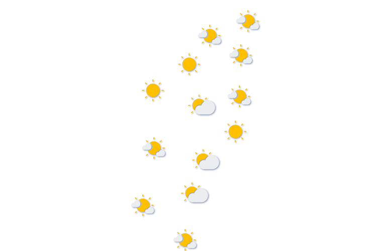 Forecast