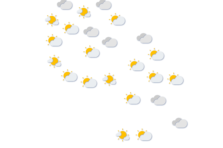 Forecast