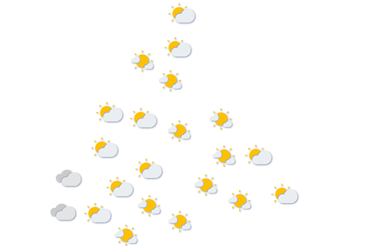Forecast