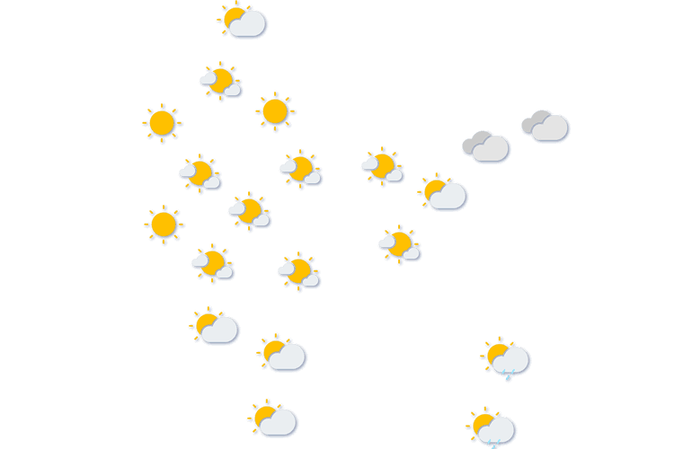 Forecast