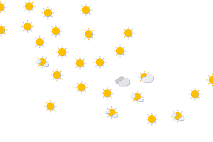 Forecast