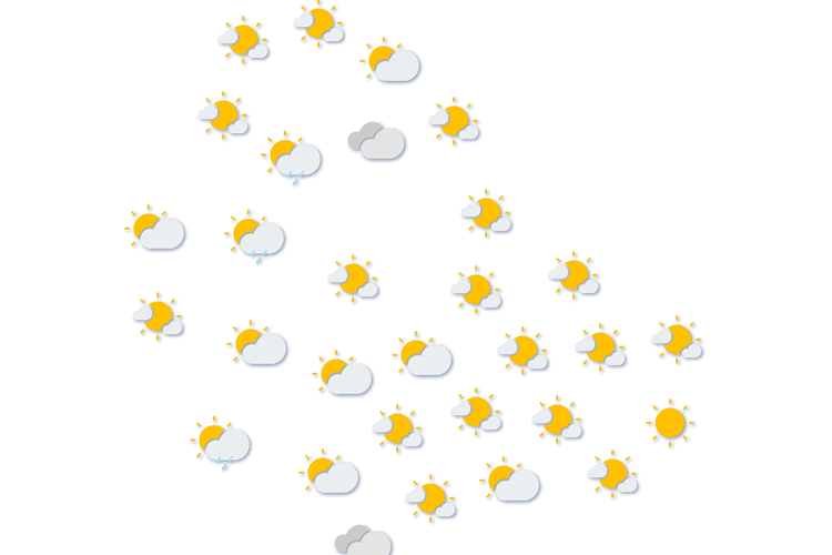 Forecast