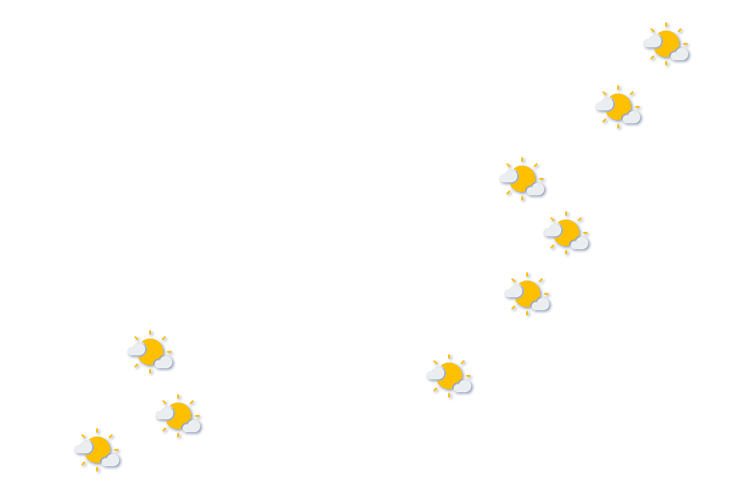 Forecast