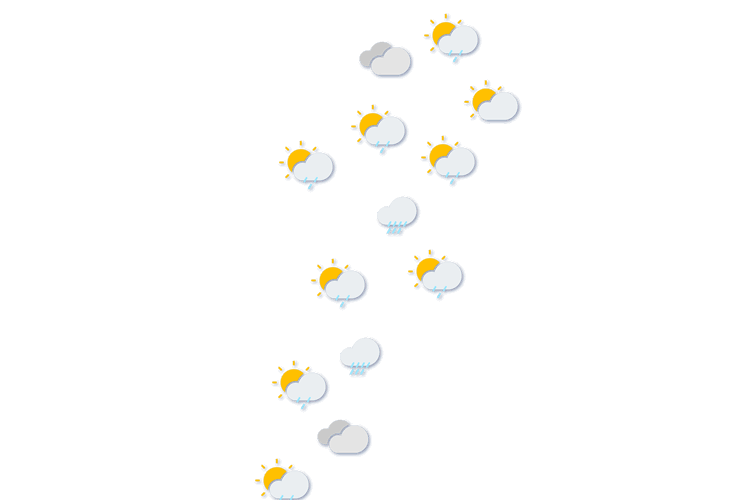 Forecast