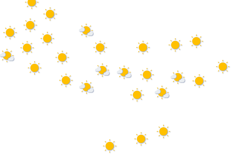 Forecast