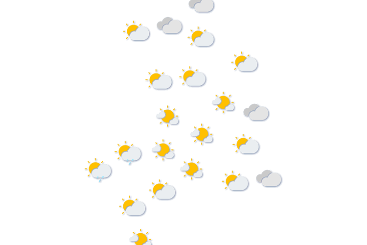 Forecast