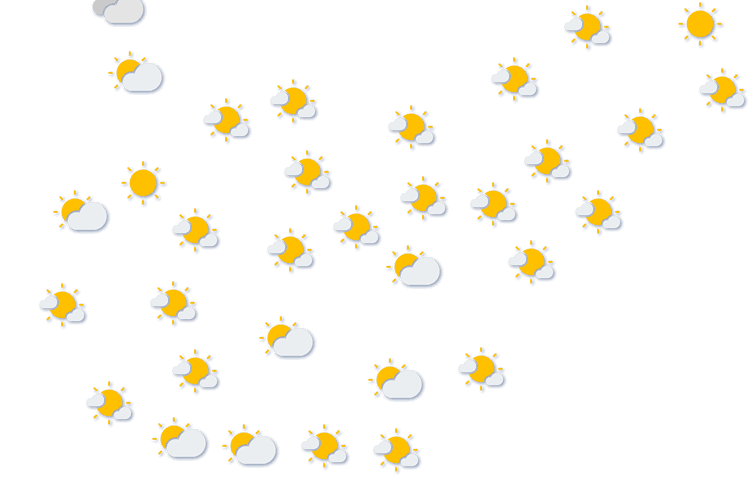 Forecast