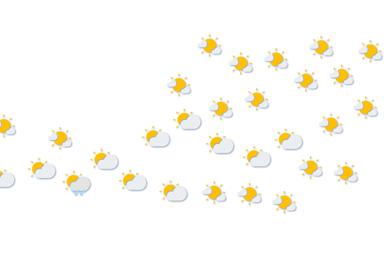 Forecast