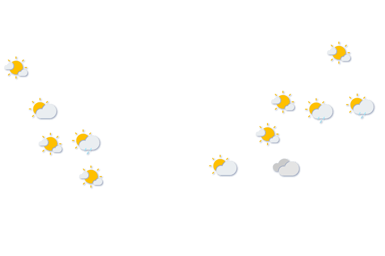 Forecast