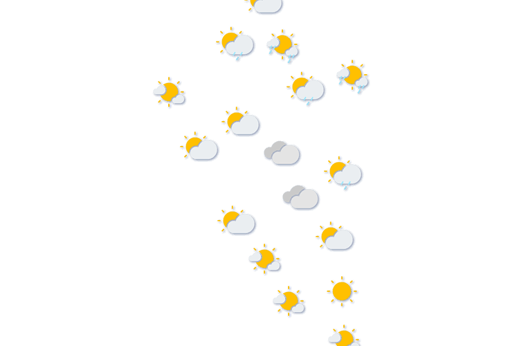 Forecast