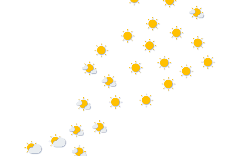 Forecast