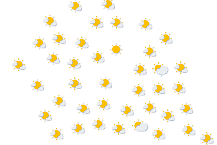 Forecast