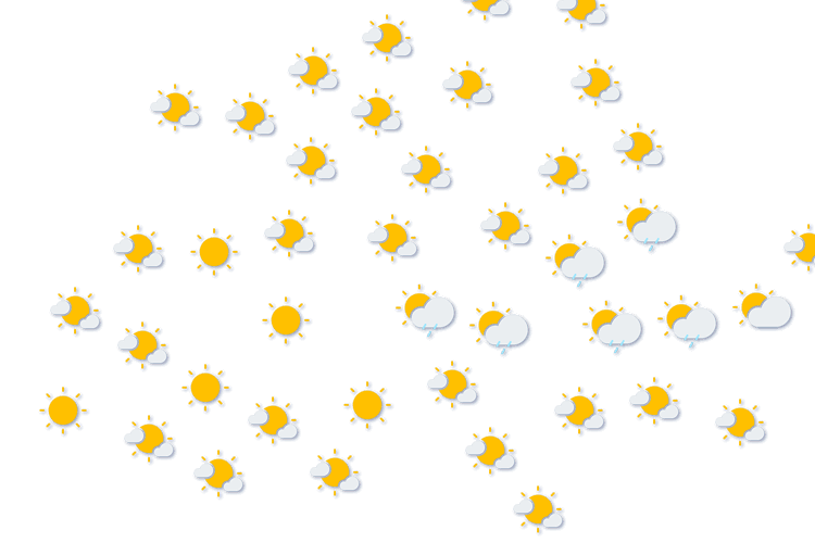 Forecast