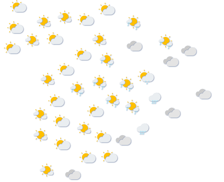 Forecast