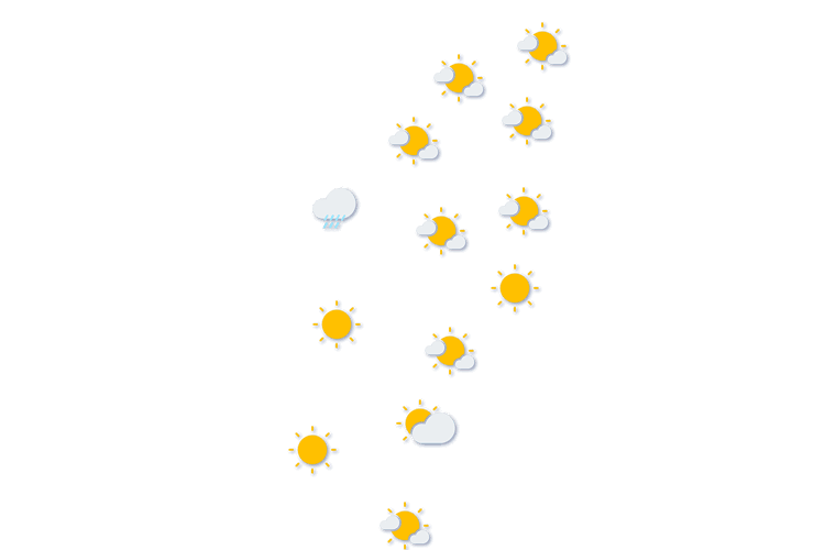 Forecast