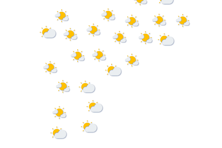Forecast