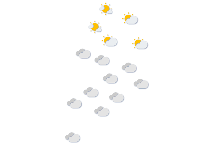 Forecast