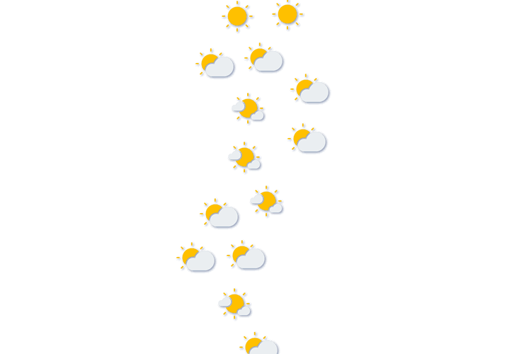 Forecast