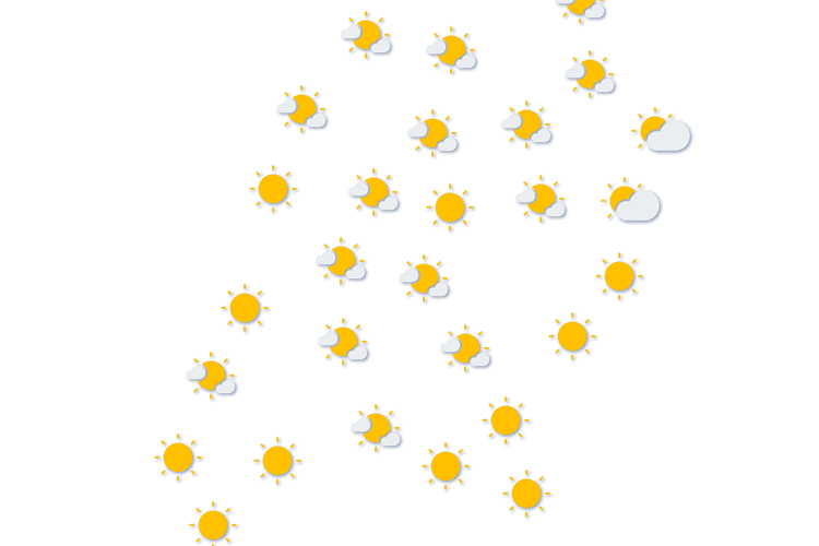 Forecast