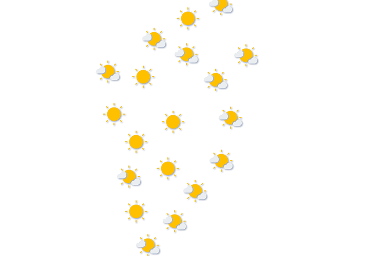 Forecast