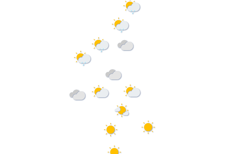 Forecast