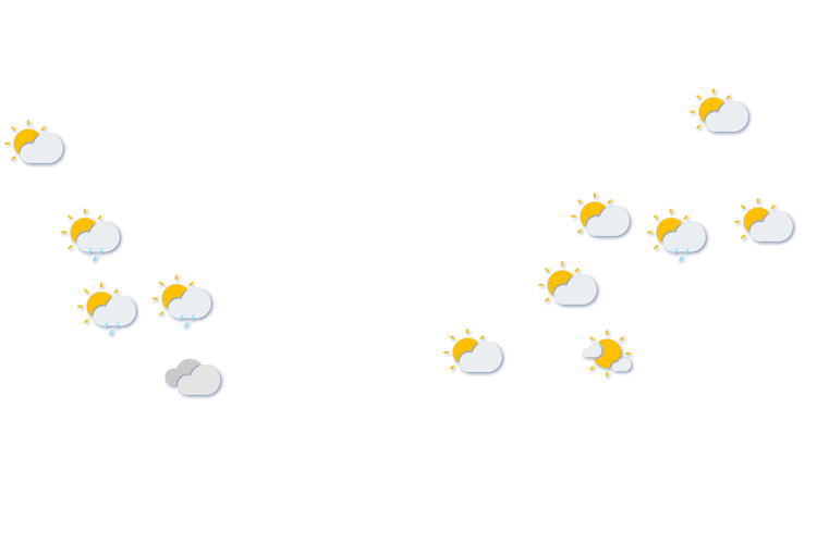 Forecast