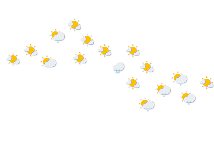 Forecast