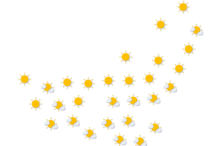 Forecast