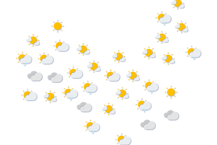 Forecast