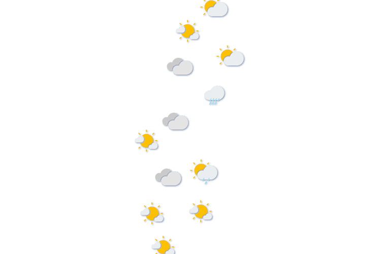 Forecast