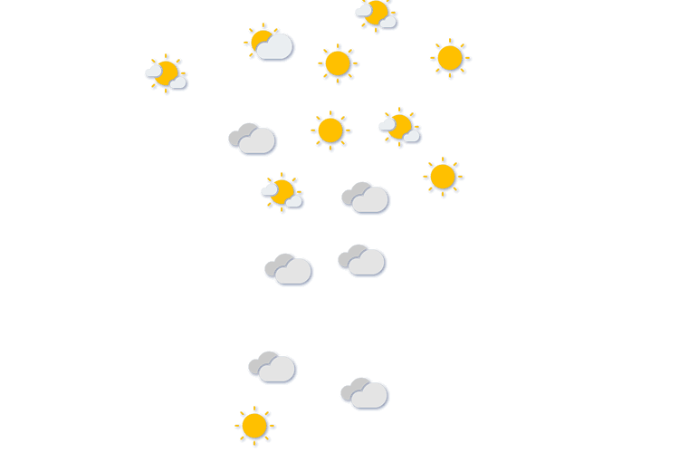 Forecast