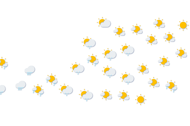 Forecast