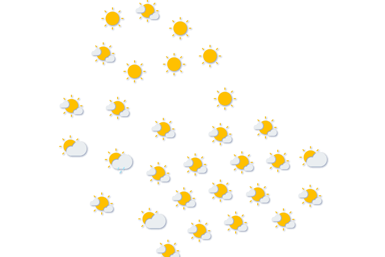 Forecast