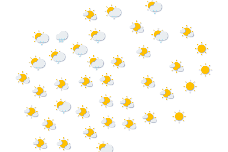 Forecast