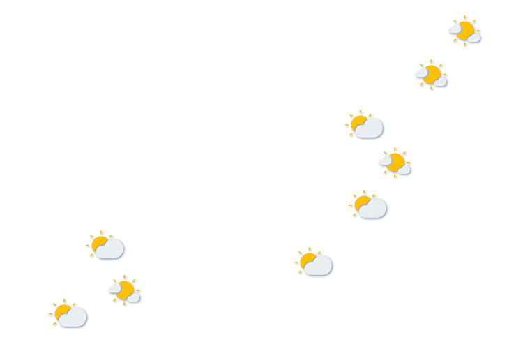 Forecast