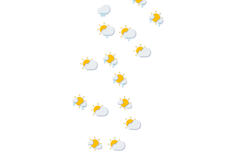 Forecast