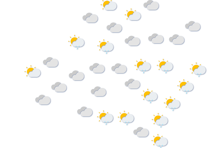 Forecast
