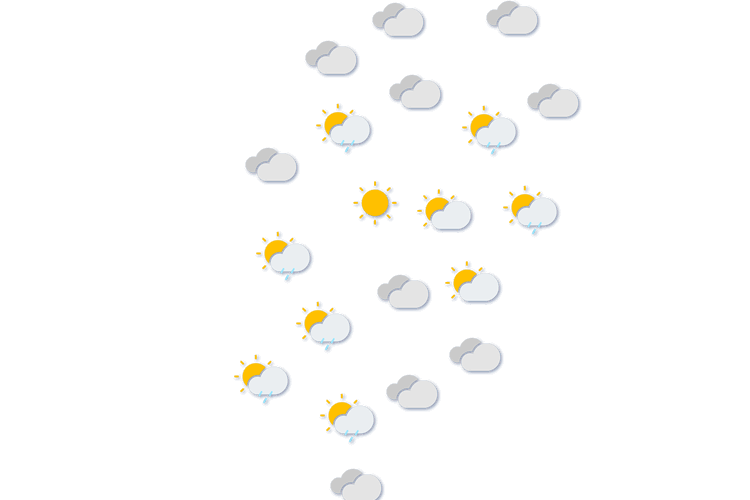 Forecast