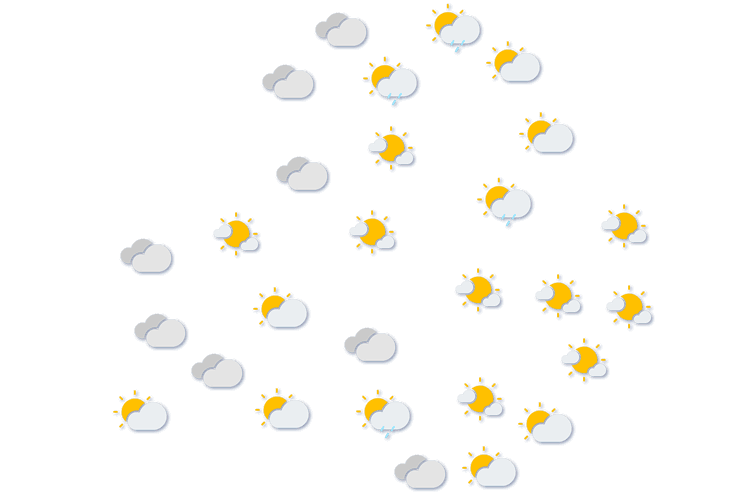 Forecast