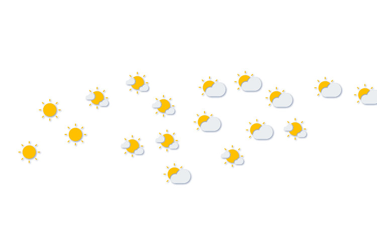 Forecast