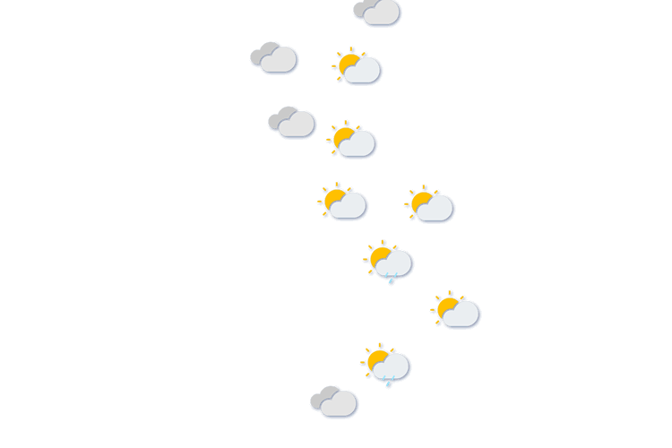 Forecast